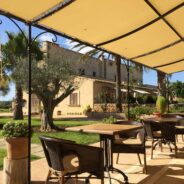 The Environmental Benefits of Installing Retractable Awnings